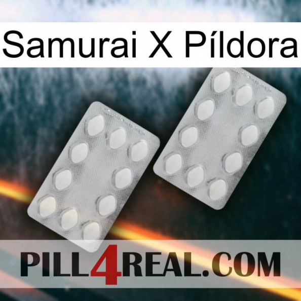 Samurai X Píldora 17.jpg